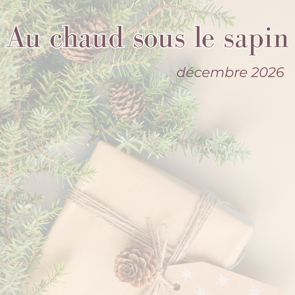 Box Décembre 2026