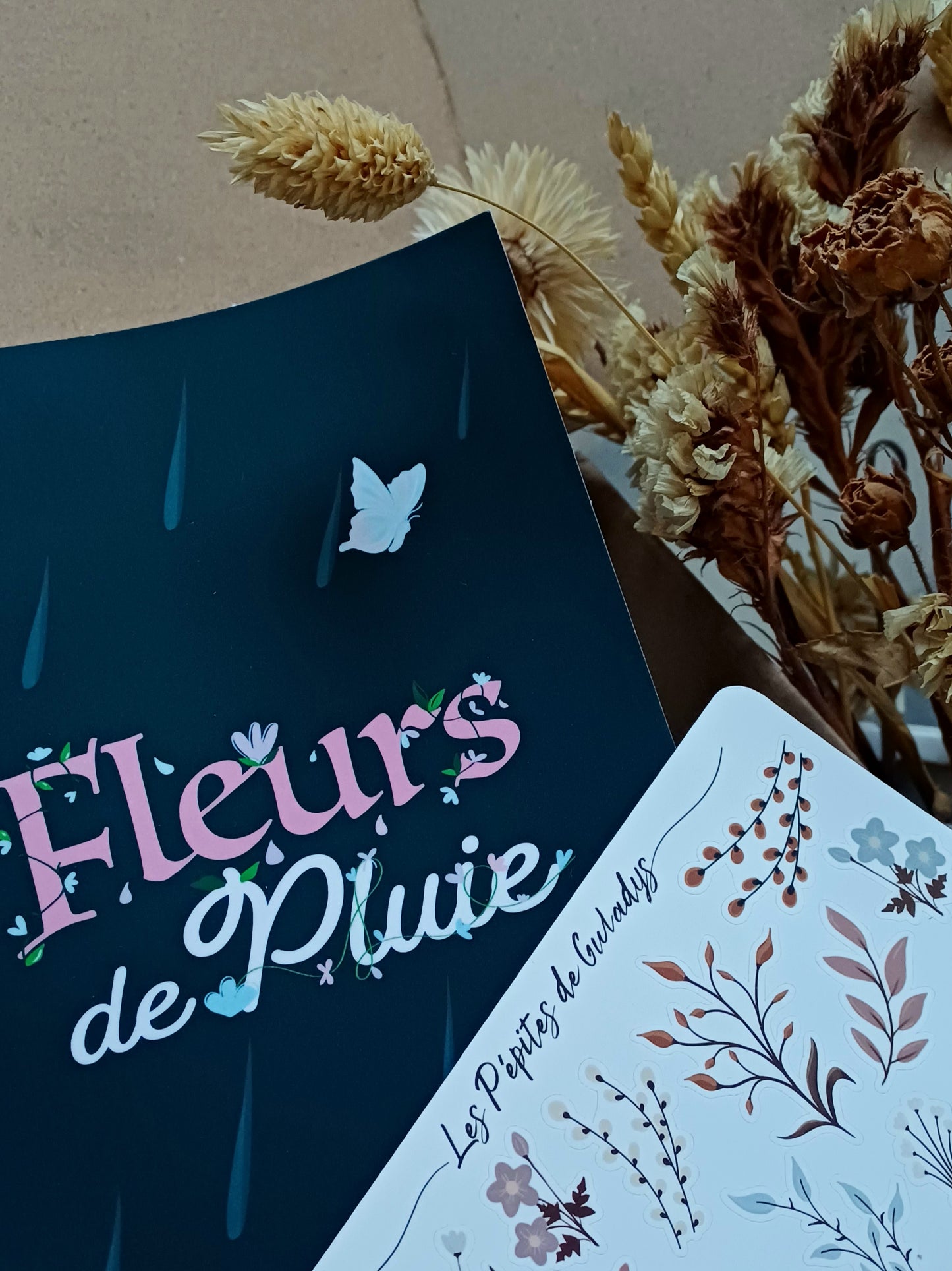 Box Édition Spéciale #1